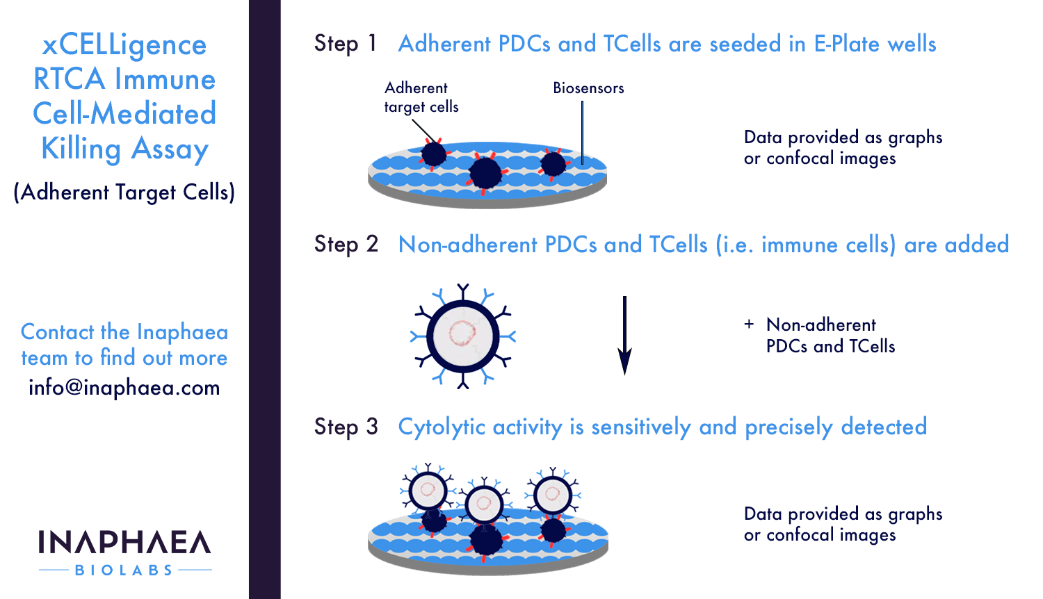 xCELLigence RTCA immune cell-mediated killing assay