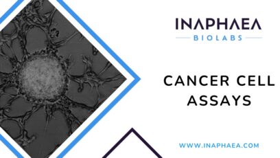 Cancer Cell Assays