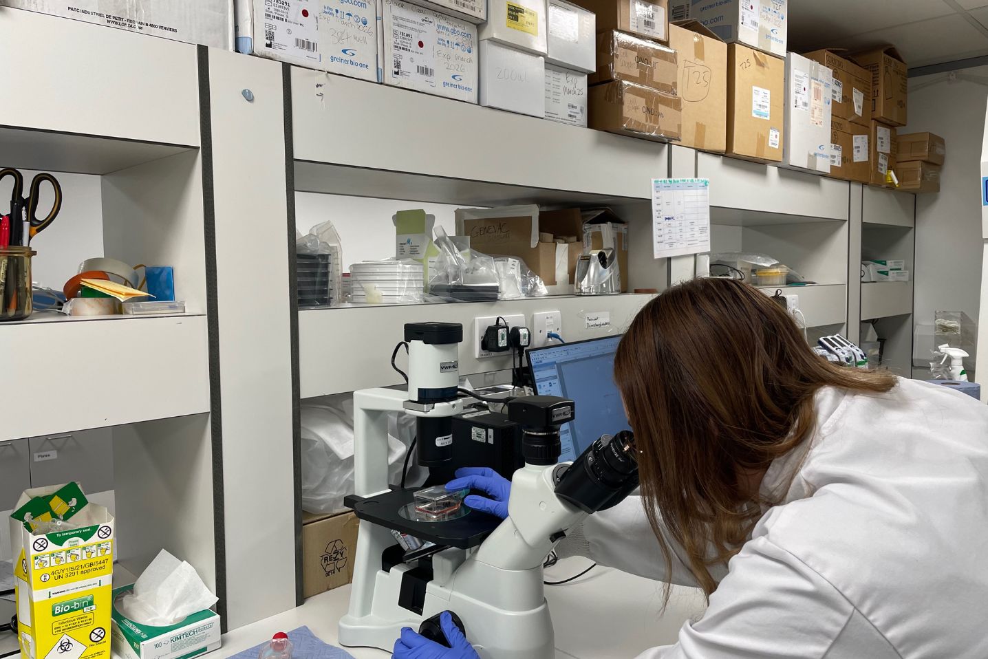 Inaphaea expands PDC Platform with digital avatars and collaborative cancer research