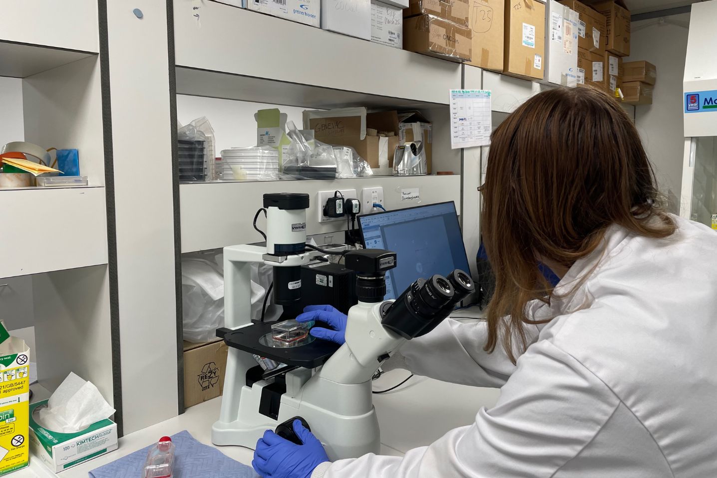 Cell Population Analysis at Inaphaea Biolabs