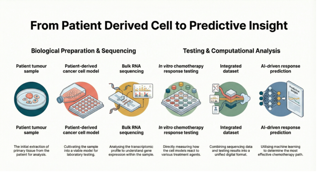 From patient derived cell to predictive insight - biological preparation and sequencing & testing and computational analysis