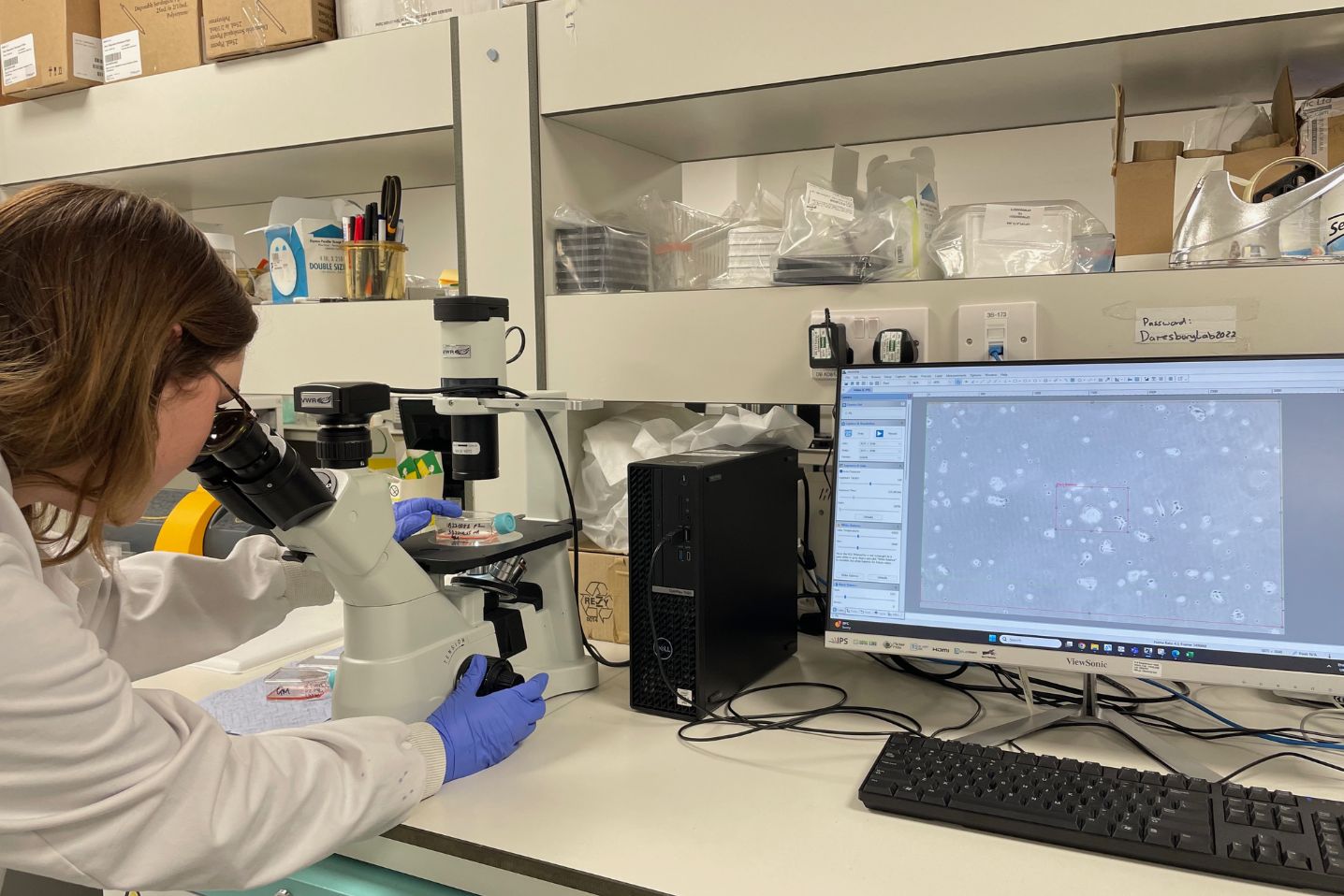 What do biotech companies look for when choosing a preclinical CRO